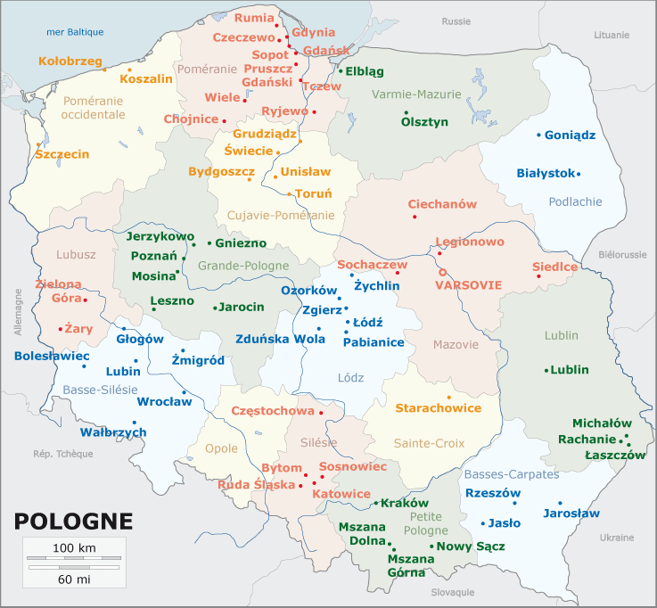 Polski Związek Rugby