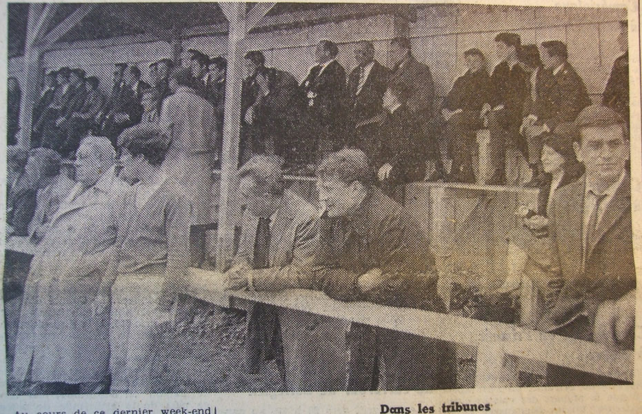 Dans les tribunes