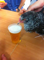 poule.jpg