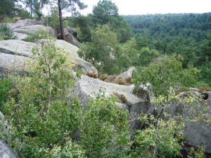 22-gorges-de-franchard-wikipedia-thesupermat-cc-by-sa-3.0-300x225.jpg