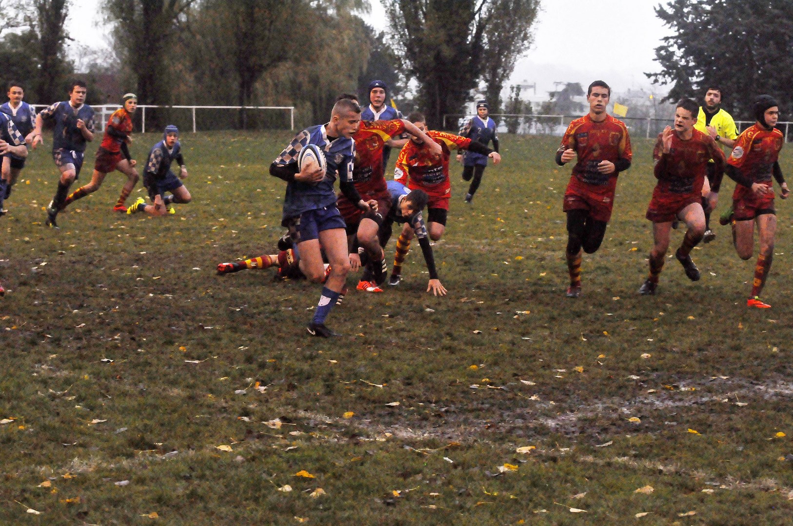 _dsc8408_copier_-2.jpg