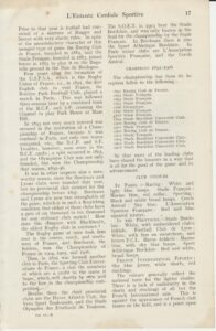 p17.jpg