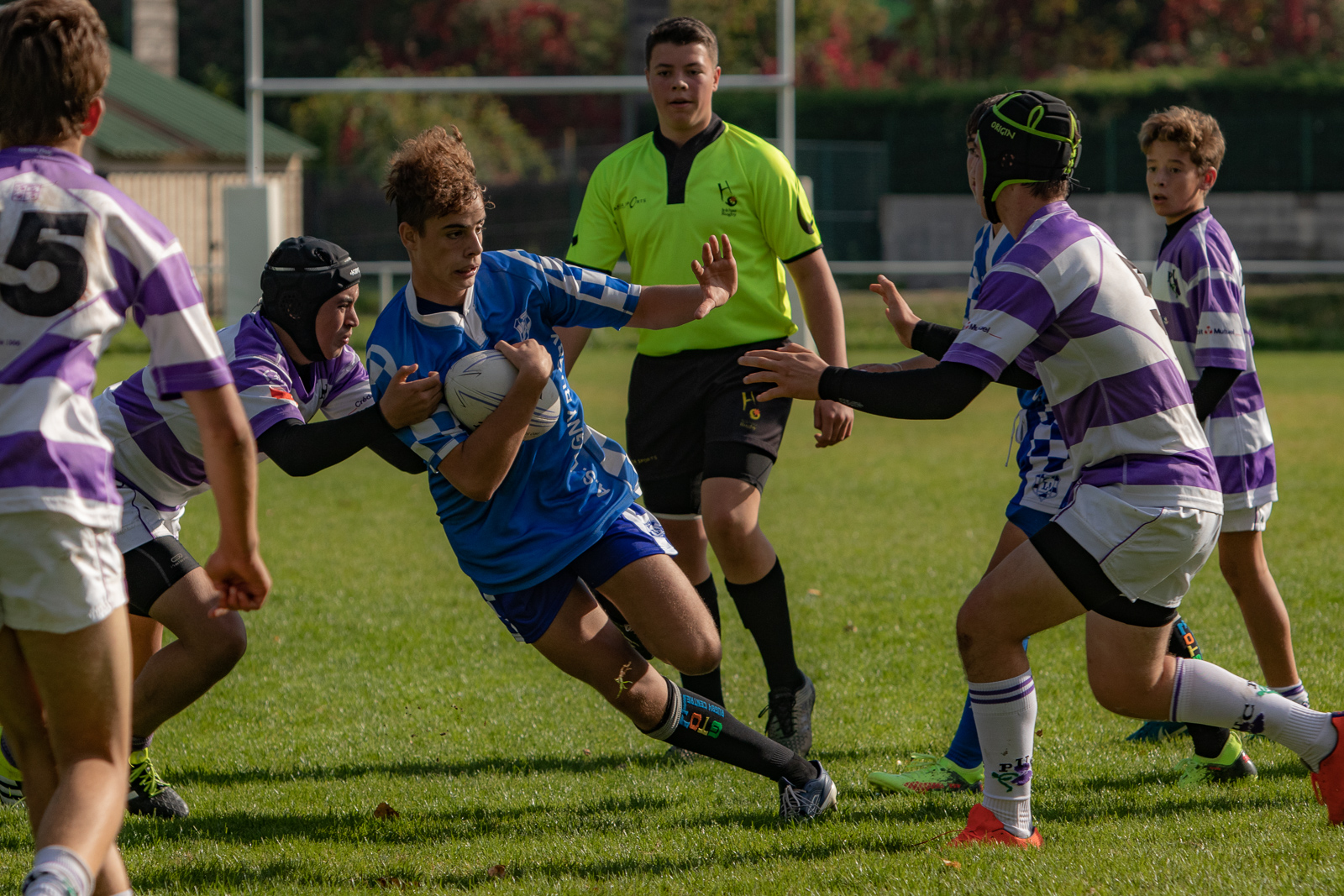 2018-10-06-eos80d-008047.jpg