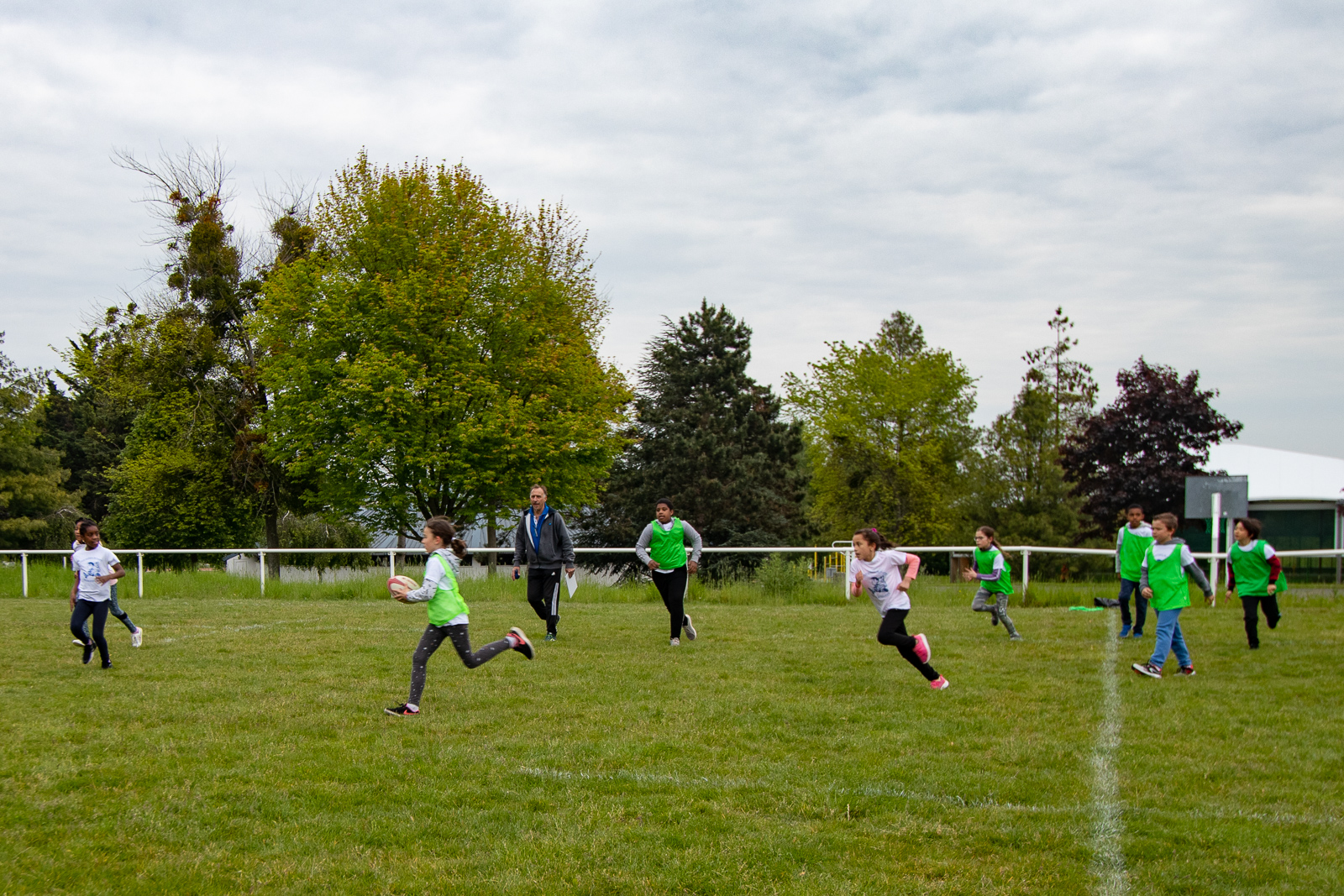 2019-05-17-eos80d-009747.jpg