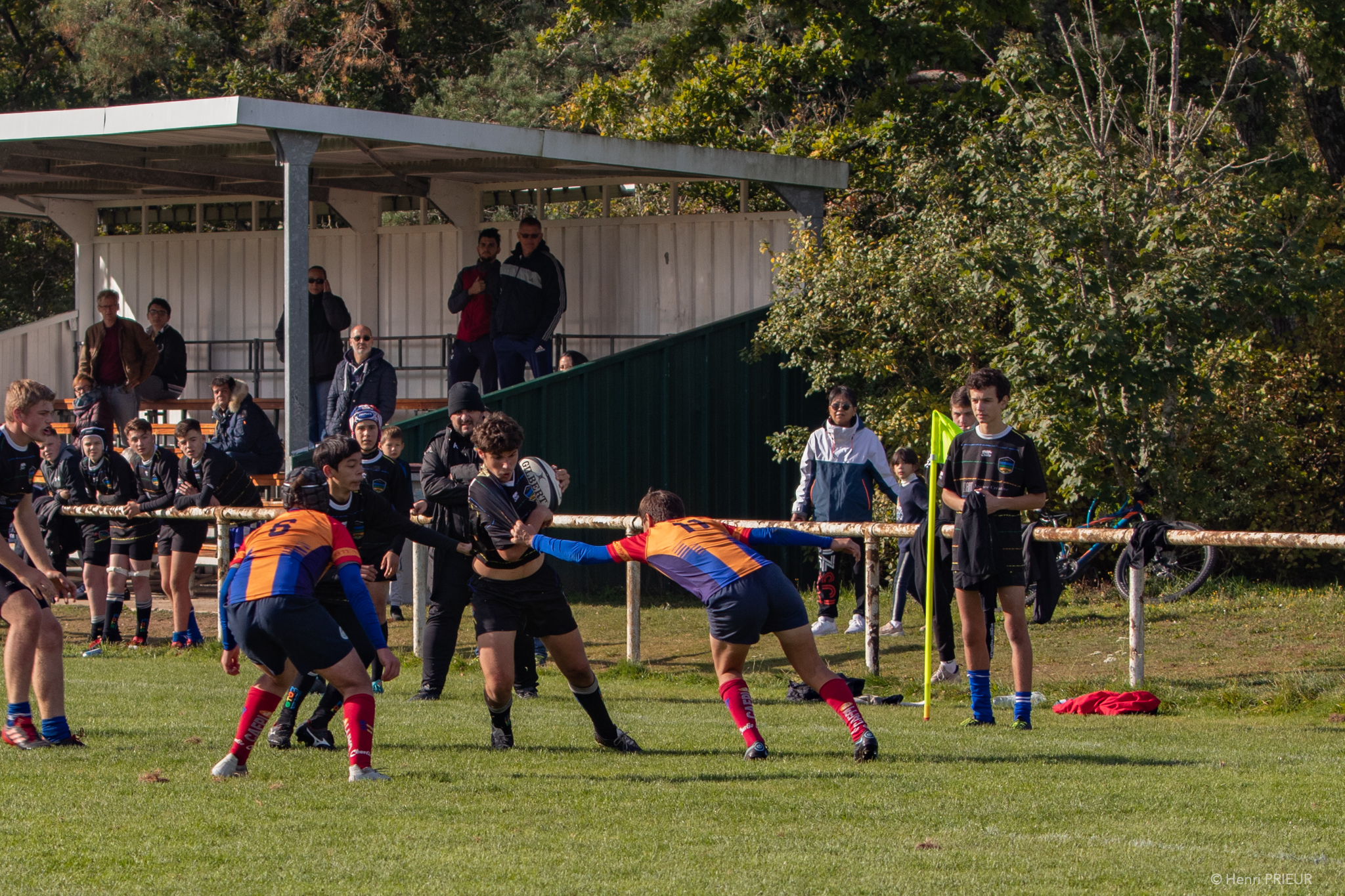 2021-10-17-eos80d-014521.jpg